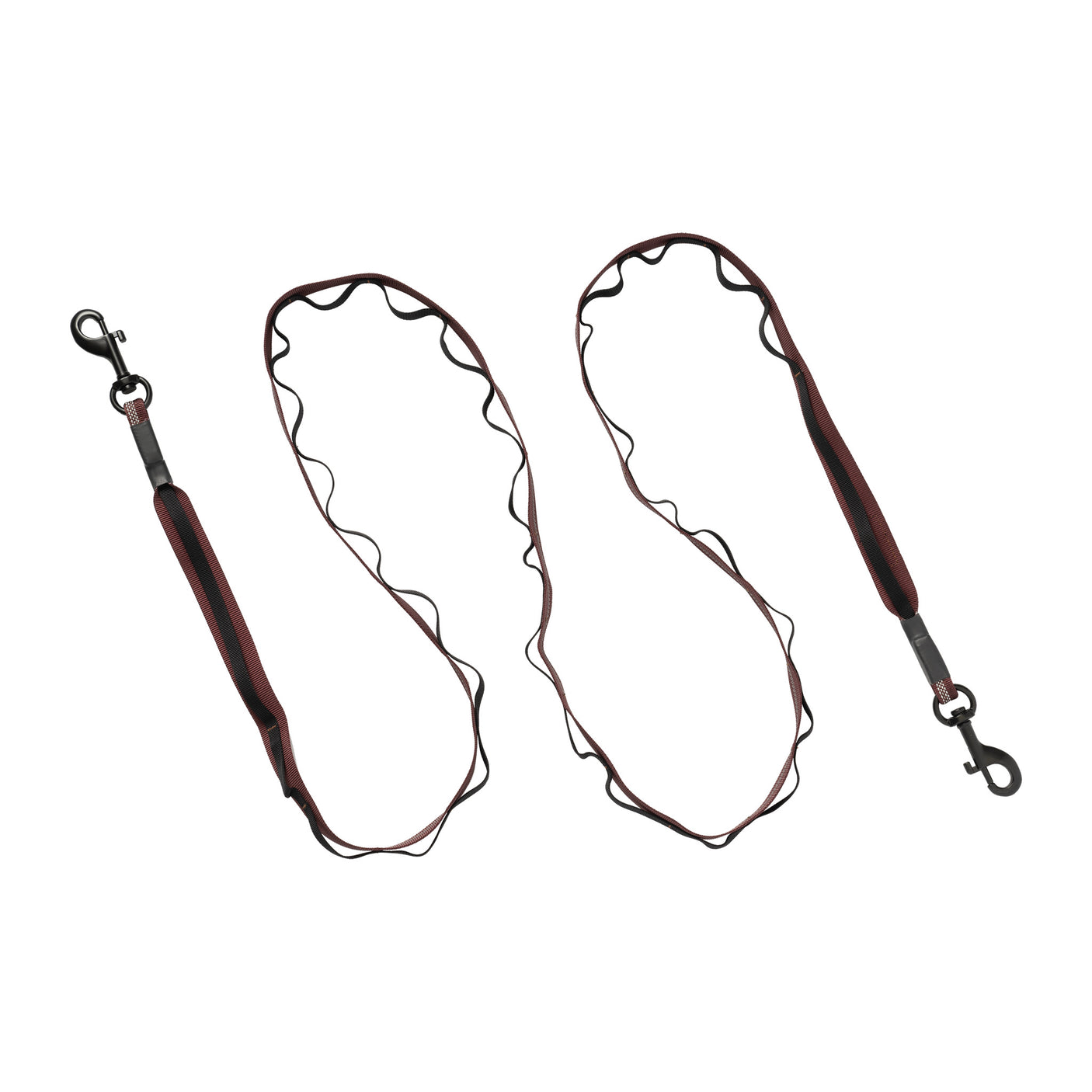 Reflective Trailhead Dual Snap Leash