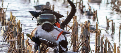 Hunting Gear