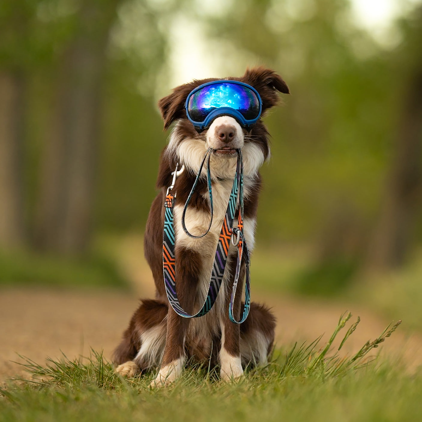 Trails End Leash