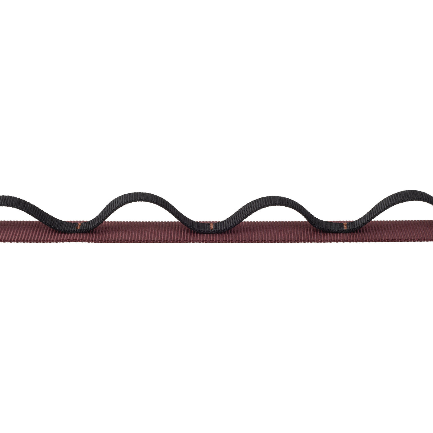 Reflective Trailhead Dual Snap Leash