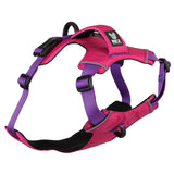Trailhead Dog Harness