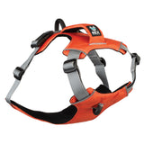 Trailhead Dog Harness