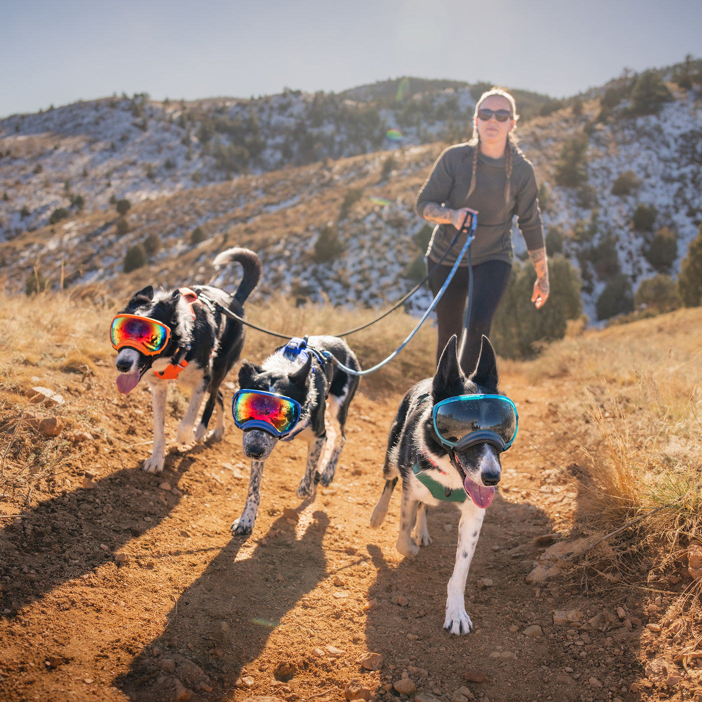 Trailhead Dog Harness