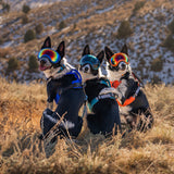 Trailhead Dog Harness