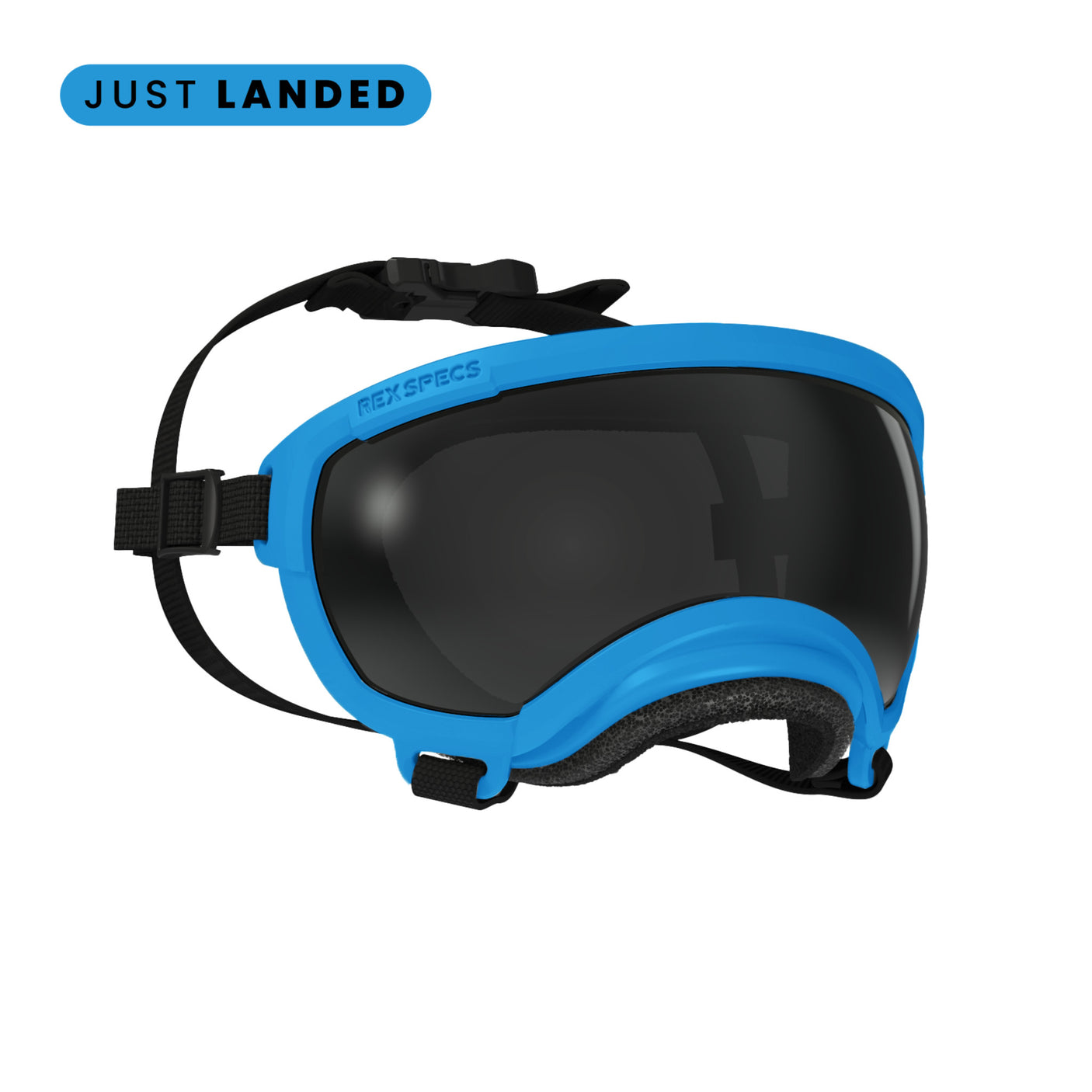 Goggles for Dogs - V2