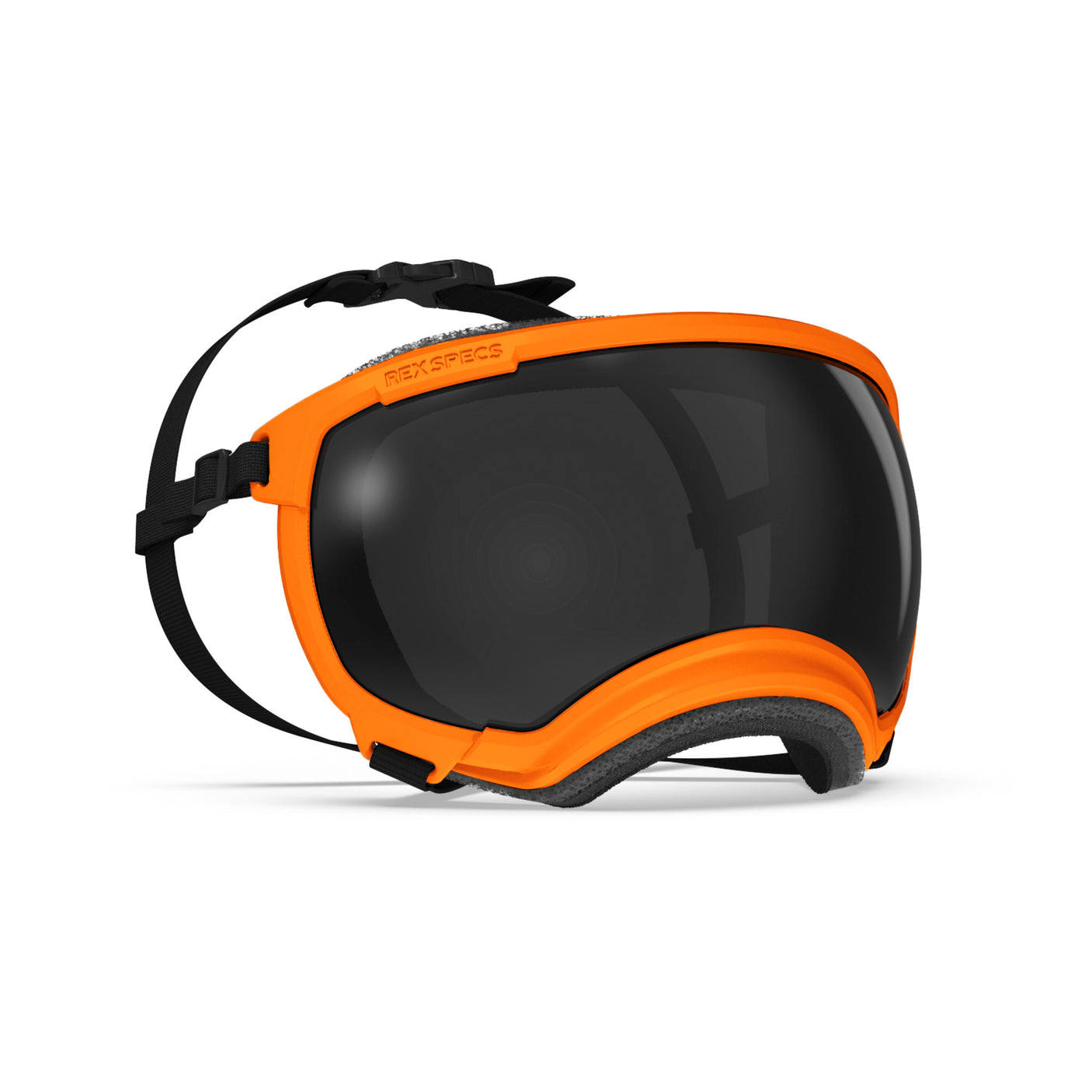 Goggles for Dogs - V2